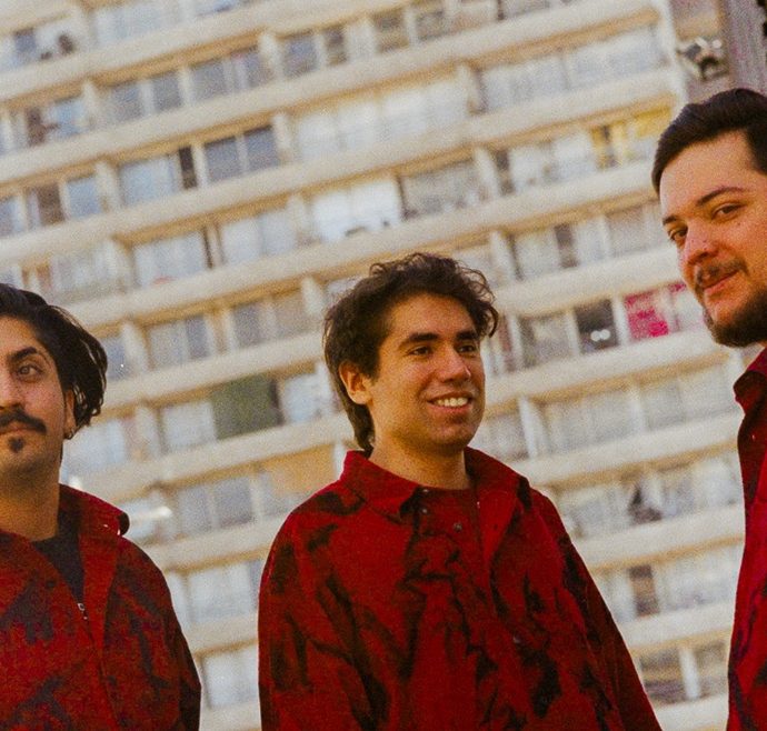 Detectives Salvajes